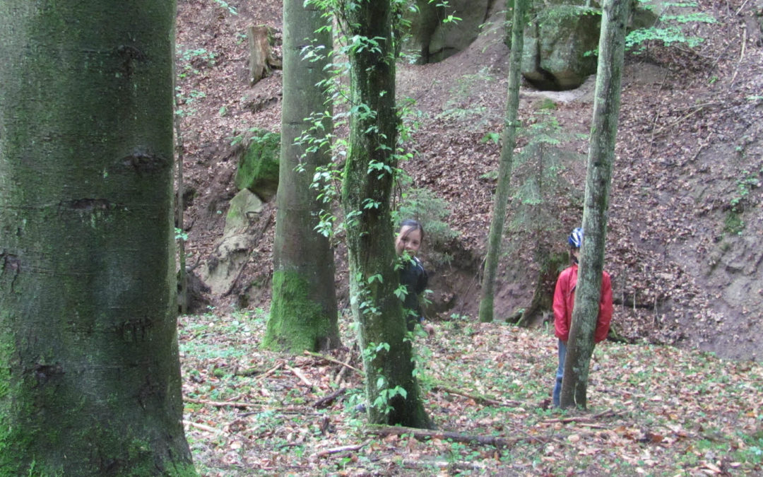 Walderlebnistag – NaturPur